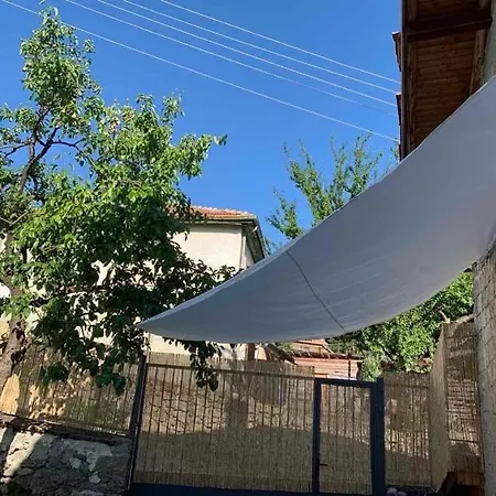 вино от глухарчета Feriehus Borovo (Plovdiv)