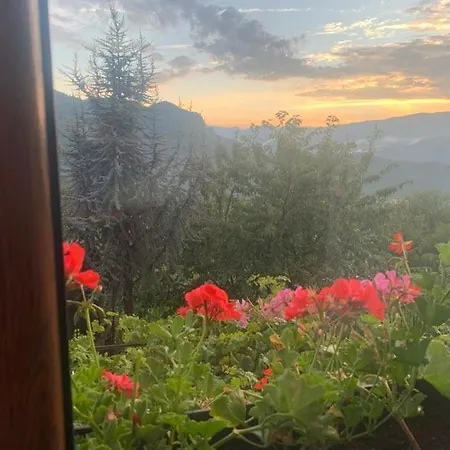 вино от глухарчета * Borovo (Plovdiv)