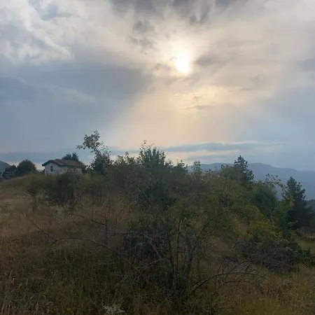 вино от глухарчета Casa de Férias