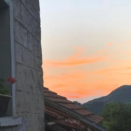 вино от глухарчета Holiday home Borovo (Plovdiv)