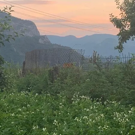 Holiday home вино от глухарчета