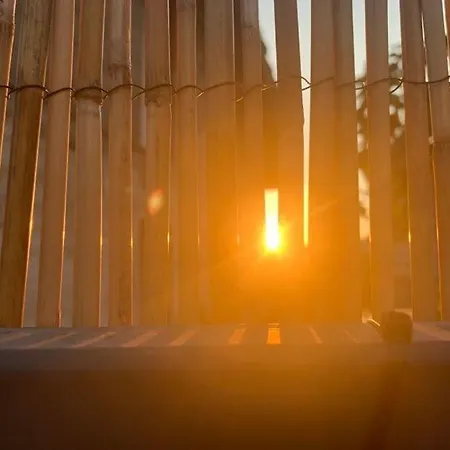 вино от глухарчета Hébergement de vacances Borovo (Plovdiv)