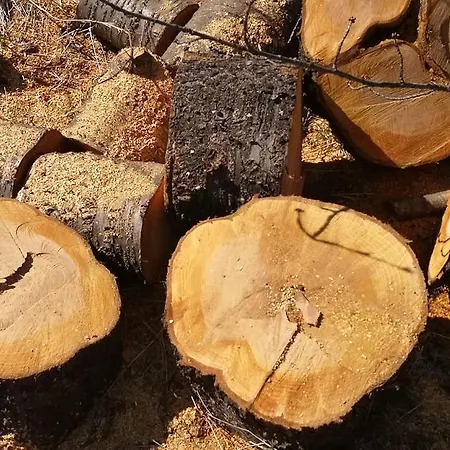 вино от глухарчета Borovo (Plovdiv)