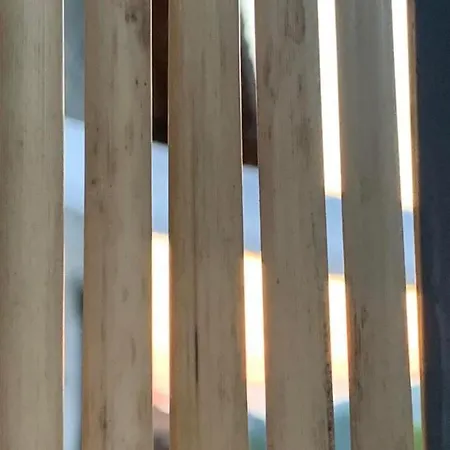 вино от глухарчета