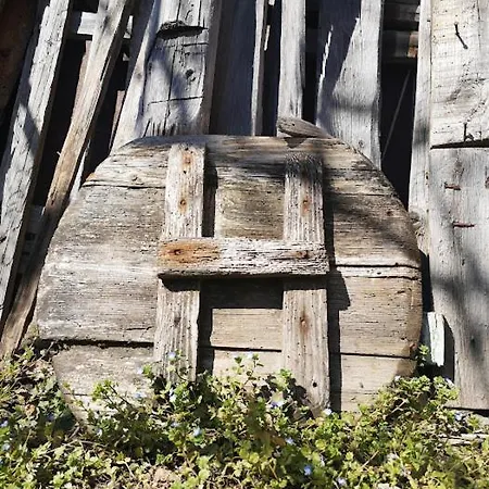 вино от глухарчета Borovo (Plovdiv)