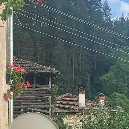 вино от глухарчета Prázdninový dům