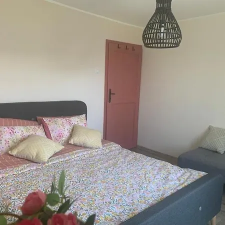 вино от глухарчета * Borovo (Plovdiv)