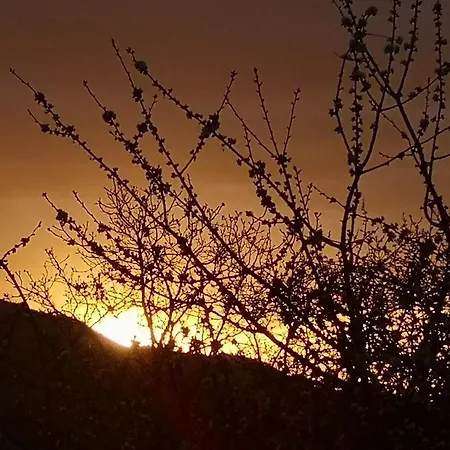 Holiday home вино от глухарчета