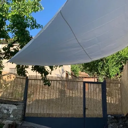 вино от глухарчета * Borovo (Plovdiv)