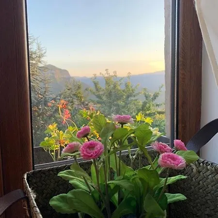 вино от глухарчета Casa de Férias