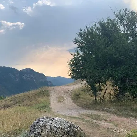 вино от глухарчета Borovo (Plovdiv)