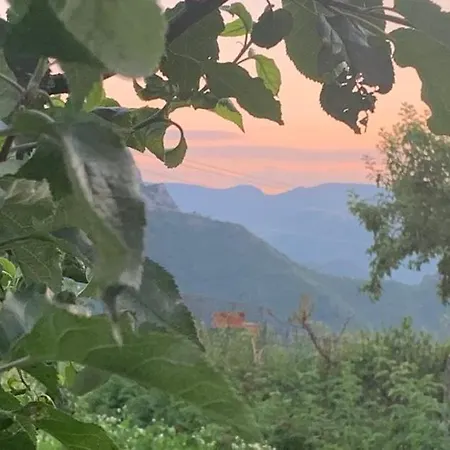 Holiday home вино от глухарчета Borovo (Plovdiv)