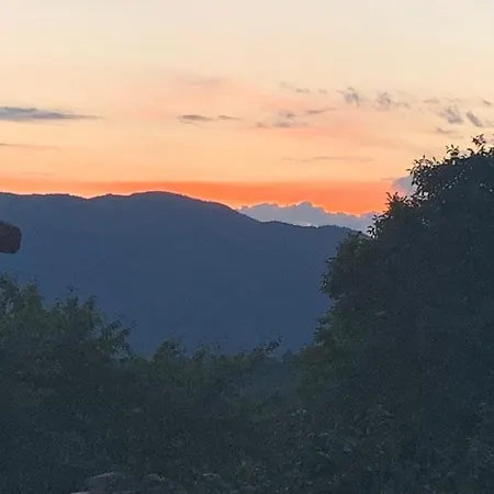 вино от глухарчета *