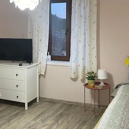 Hébergement de vacances вино от глухарчета Borovo (Plovdiv)