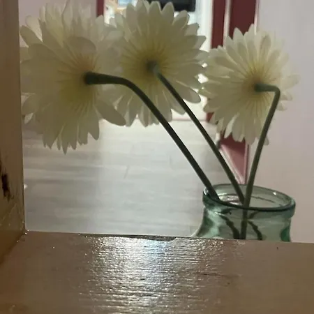 вино от глухарчета Casa de Férias *