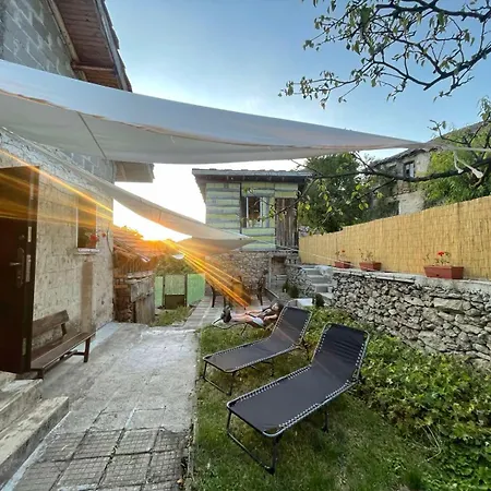 вино от глухарчета * Borovo (Plovdiv)