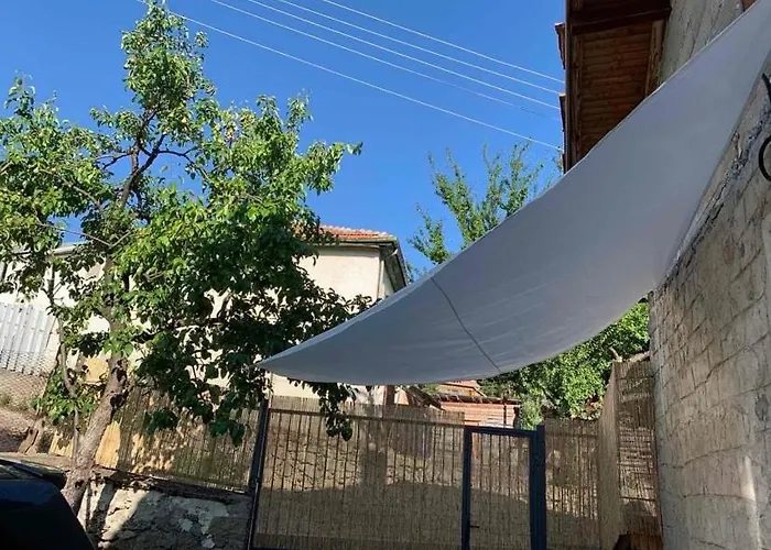 вино от глухарчета Дом отдыха Borovo (Plovdiv)