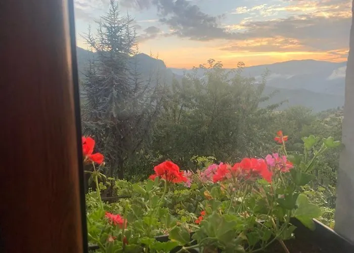 вино от глухарчета * Borovo (Plovdiv)