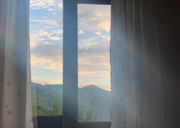 Дом отдыха вино от глухарчета *