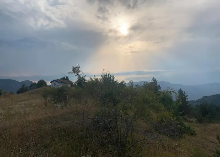 вино от глухарчета Дом отдыха