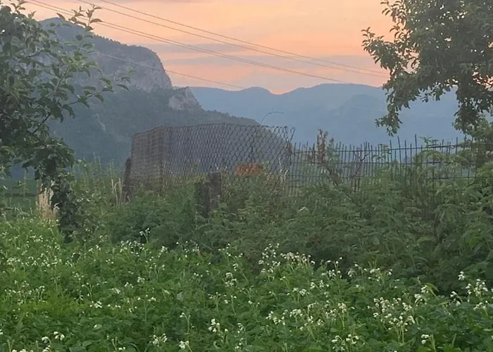 Дом отдыха вино от глухарчета