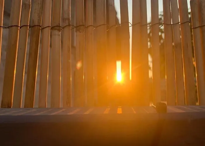 вино от глухарчета Дом отдыха Borovo (Plovdiv)