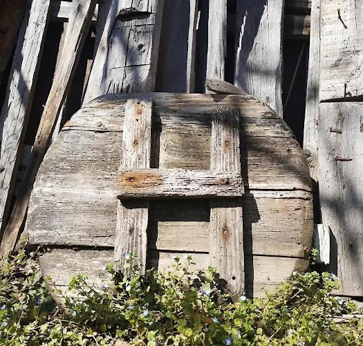 вино от глухарчета Borovo (Plovdiv)