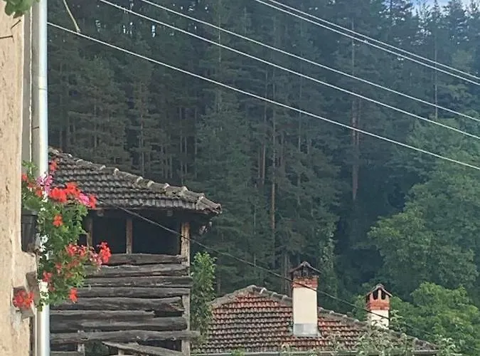 вино от глухарчета Дом отдыха