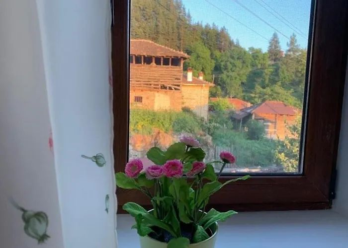 вино от глухарчета Borovo (Plovdiv)