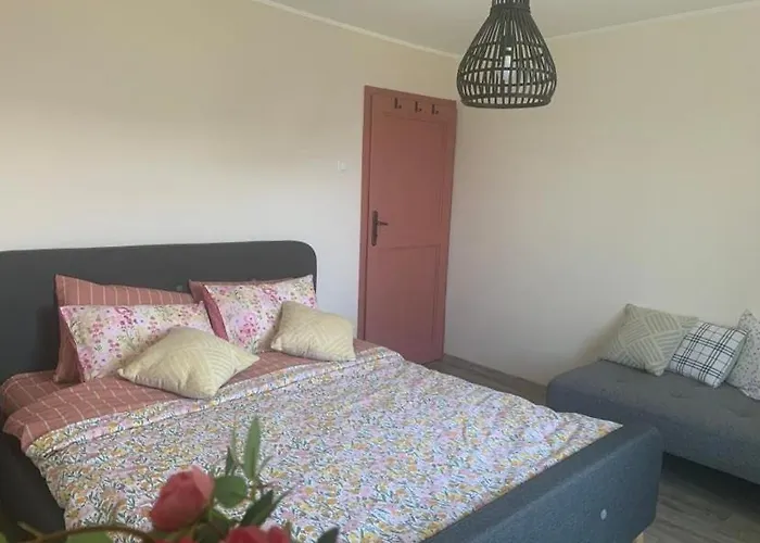 вино от глухарчета * Borovo (Plovdiv)