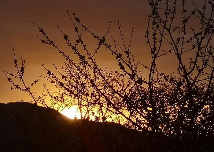 Дом отдыха вино от глухарчета