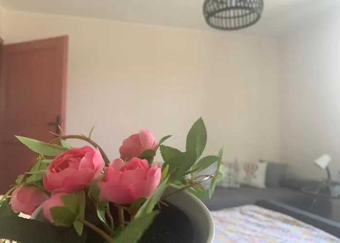 Дом отдыха вино от глухарчета *