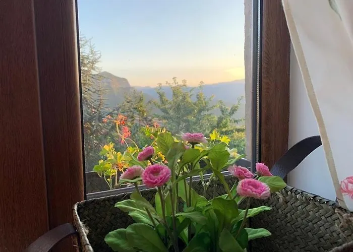 вино от глухарчета Дом отдыха