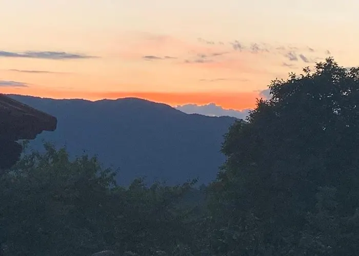 вино от глухарчета *