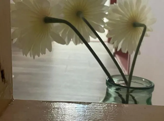 вино от глухарчета Дом отдыха *