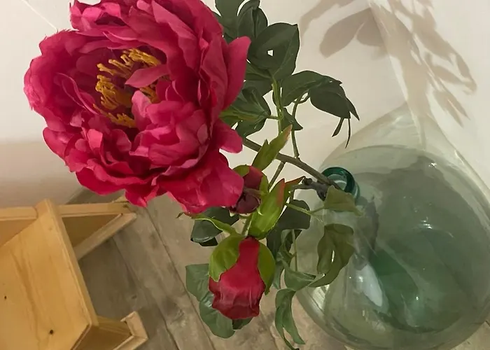 вино от глухарчета Дом отдыха *