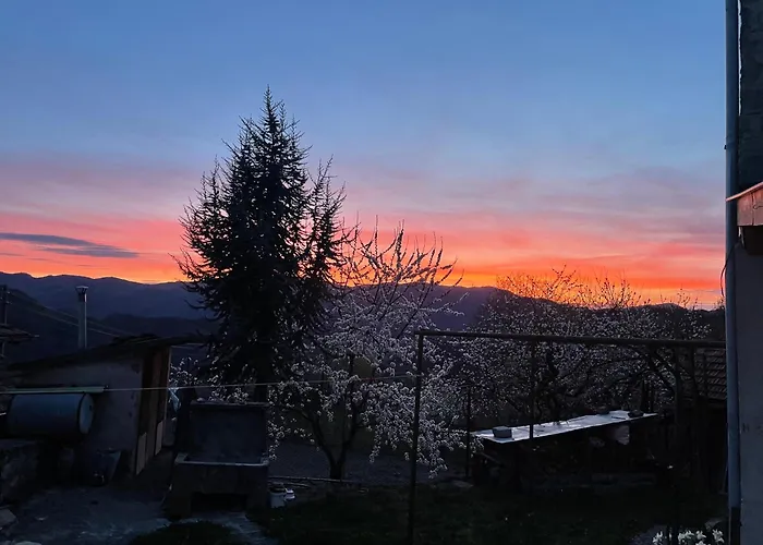 вино от глухарчета Дом отдыха